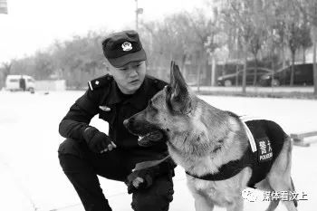 实习警犬物语，忠诚与勇气的见证