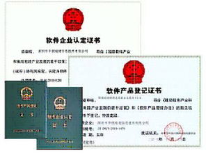 双软认证企业，创新驱动下的行业先锋