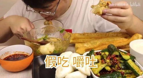 猫肉能吃吗？从文化、法律和健康角度的探讨