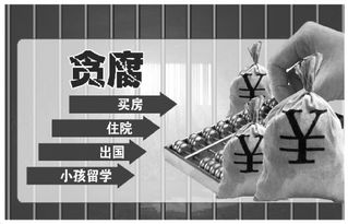 揭秘特定关系人，权力背后的隐秘纽带