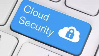 网上购买手机号，安全与便利的平衡艺术