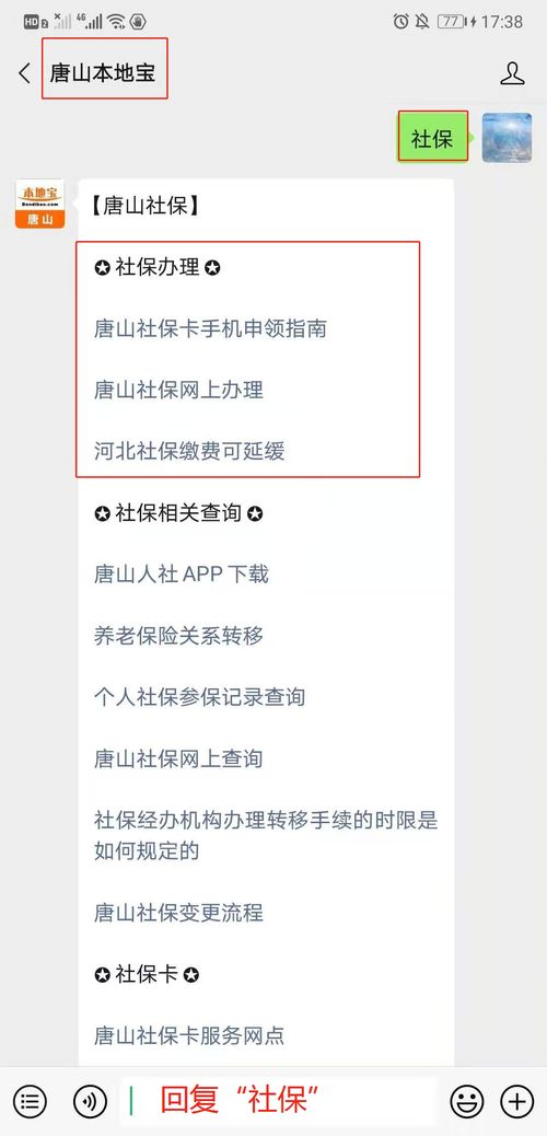 重庆养老保险查询，全面指南与实用技巧