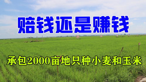 农村选举法，民主的田野，公平的种子