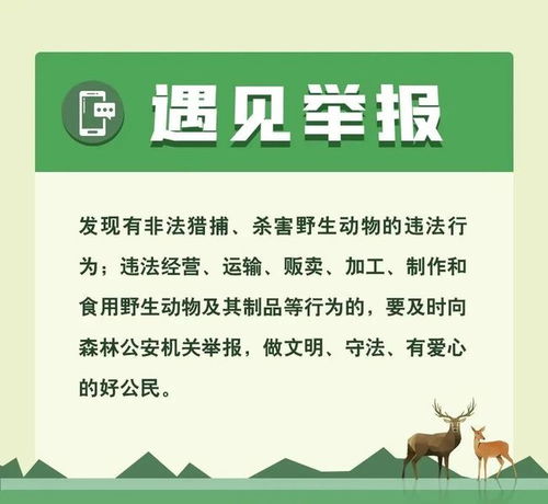 动植物检疫法，保护生态平衡与公共卫生的法律盾牌