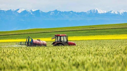 揭秘金钱白花蛇，价格背后的市场与生态