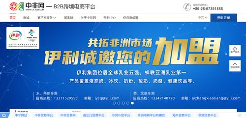 域名抢注的艺术，策略、技巧与实战指南