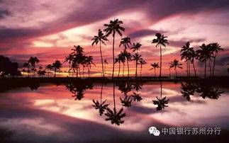 大连荧光海滩，自然奇观的奥秘与探索之旅