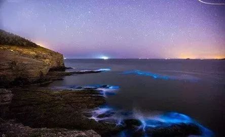 大连荧光海滩，自然奇观的奥秘与探索之旅