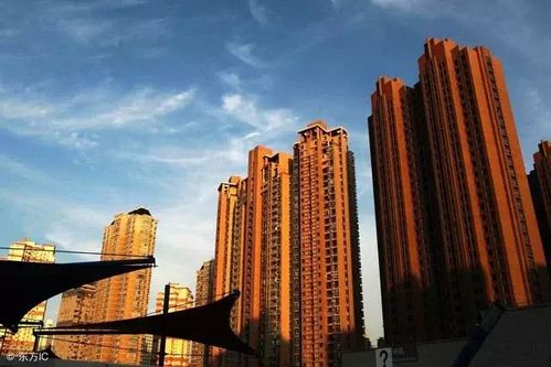 青岛保障房网，城市发展的新引擎，市民安居的新希望