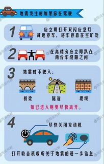 网上交违章罚款，便捷与注意事项全解析