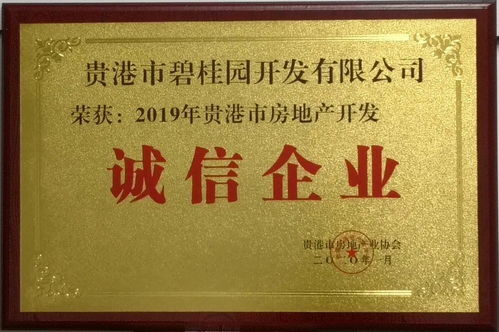 家的梦想，从规范的广告开始，揭秘房地产广告发布暂行规定