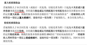 深入了解人保车险条款，保障与责任的全面解读