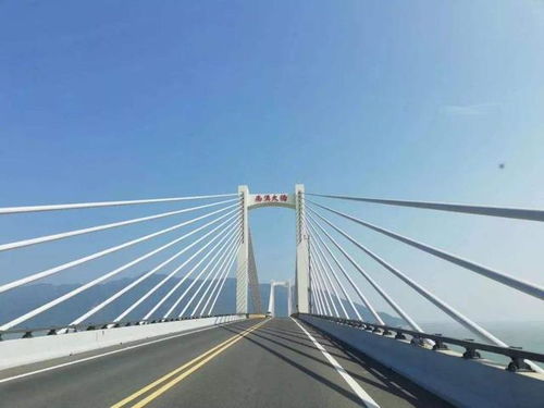 硫酸小檗碱，自然的礼物与医疗的桥梁