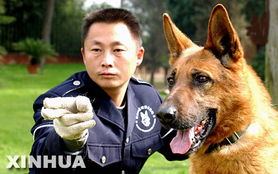 南昌警犬基地，忠诚伙伴的摇篮与守护者