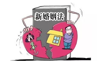 离婚损害赔偿，法律的保护伞与情感的修复剂