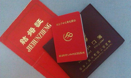 独生子女政策下的家庭，补贴政策解读与影响分析