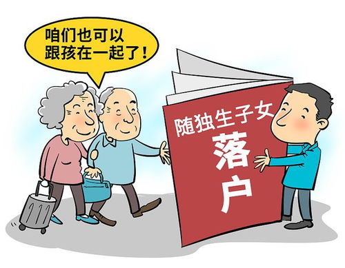 独生子女政策下的家庭，补贴政策解读与影响分析