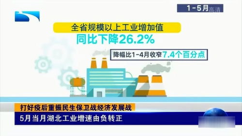 湖北物价局，守护经济平衡的经济卫士