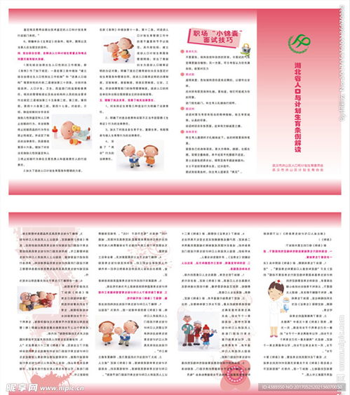 河南省计划生育条例，政策解读与实践指导