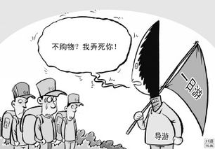 导游的言行边界，从骂人导游被罚事件探讨职业道德与法律责任