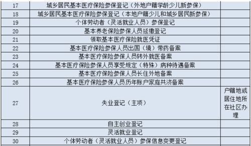 全面指南，员工社保办理流程与实用建议
