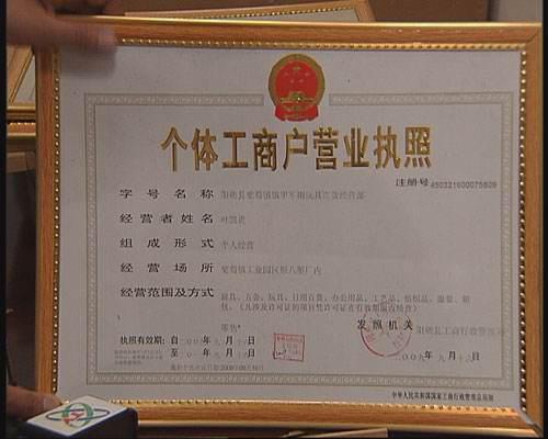 深入了解营业执照办理流程，地点、步骤与注意事项