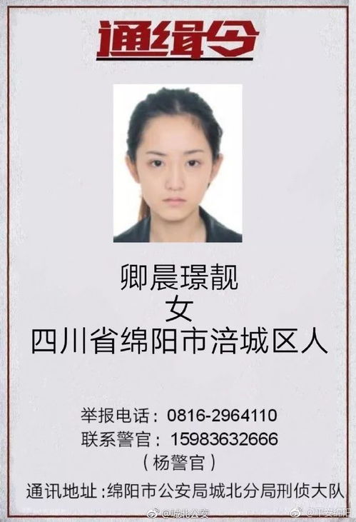 公安网上通缉犯名单，了解、预防与合作