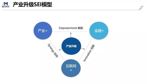 非公司制企业，探索非传统商业模式的创新与挑战