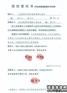 委托书的正确格式与撰写指南，确保法律效力与清晰沟通