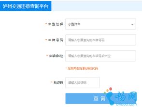 杭州机动车违章查询，便捷、高效、透明的交通管理新体验