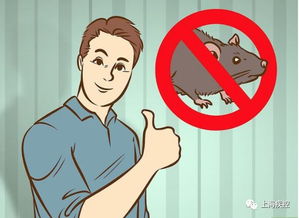 有效灭鼠，家庭与商业场所的解决方案