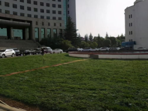 广东省人事厅，人才管理与服务的桥梁