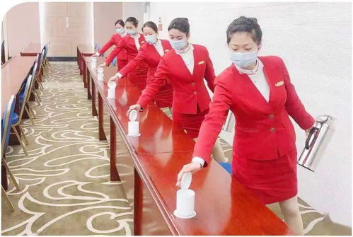 广东省人事厅，人才管理与服务的桥梁