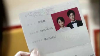 携手同行，领结婚证的甜蜜指南