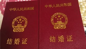 携手同行，领结婚证的甜蜜指南