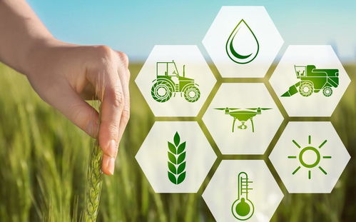 农业革命，探索中国农业生产合作社的过去、现在与未来