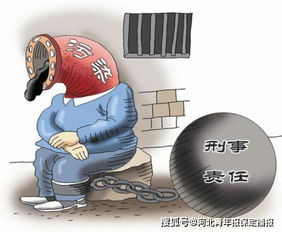 警惕生活中的隐形炸弹，揭秘投放虚假危险物质罪