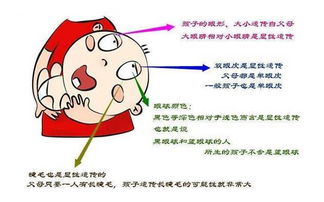 揭秘黑色素沉淀，从成因到防治的全方位解读