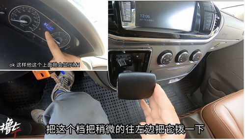 C照驾驶，开启您的驾驶之旅