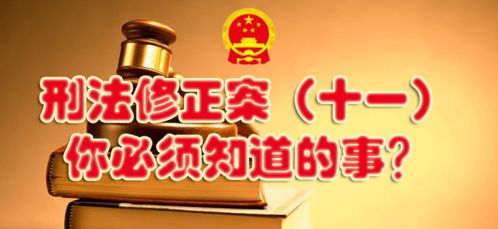 刑法修正案十一，全面解读与实践指导