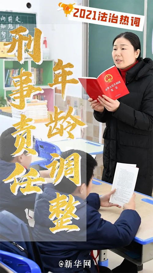 刑法修正案十一，全面解读与实践指导