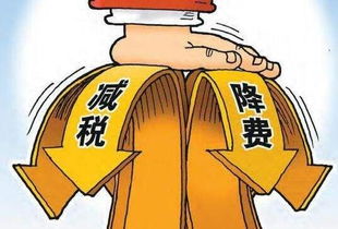 绿色税收政策，蔬菜免征增值税的益处与影响