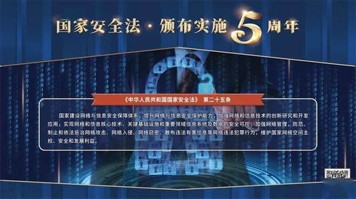 国家安全法，维护国家利益的基石