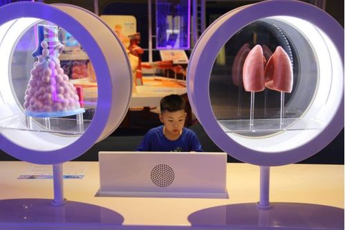 探索人体奥秘，揭秘肠子的长度与健康