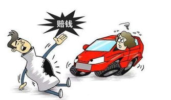 碰瓷来袭，如何机智应对？