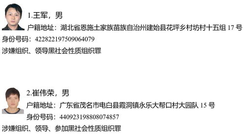 揭开行贿犯罪档案查询的神秘面纱，申请流程、法律依据与社会意义