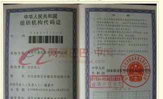 代码证年检，确保合规性的年度必修课