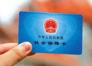 全面指南，居住证与港澳通行证的办理流程及注意事项