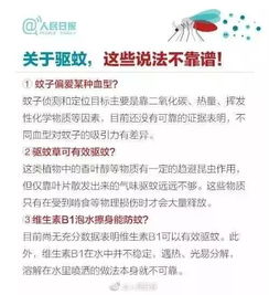 揭秘身上起红包，原因、识别与应对策略