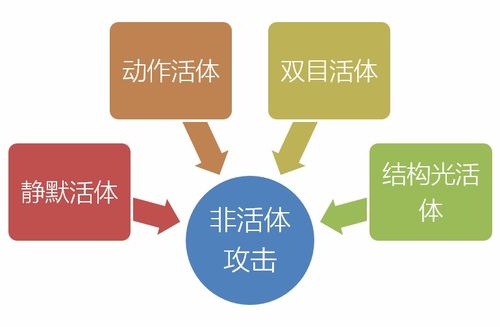 揭秘身上起红包，原因、识别与应对策略